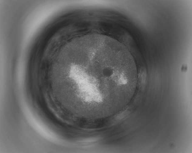 X0000112850765200909111445