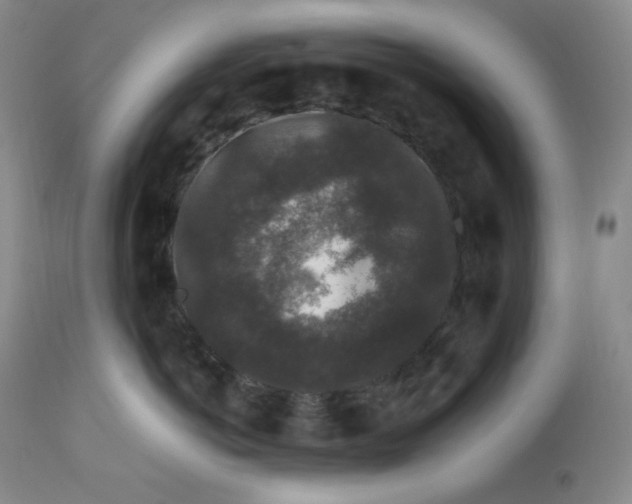 X0000112850766200909111445