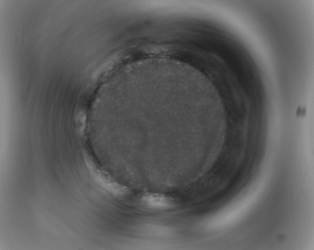 X0000112850767200909111445