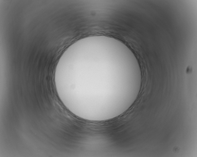 X0000112850768200909111445