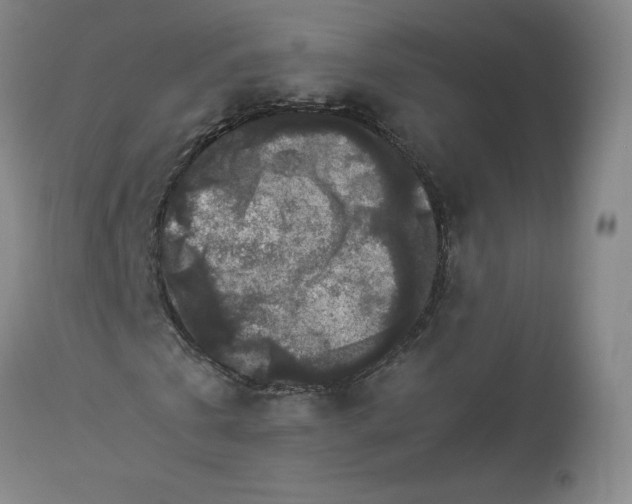 X0000112850769200909111445