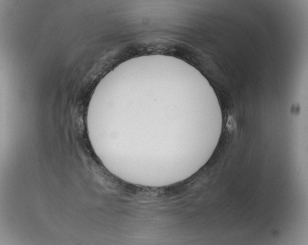 X0000112850771200909111445