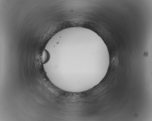 X0000112850772200909111445