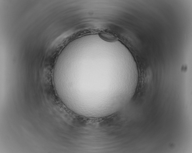 X0000112850773200909111445