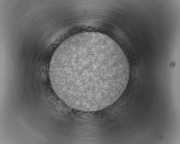 X0000112850774200909111445