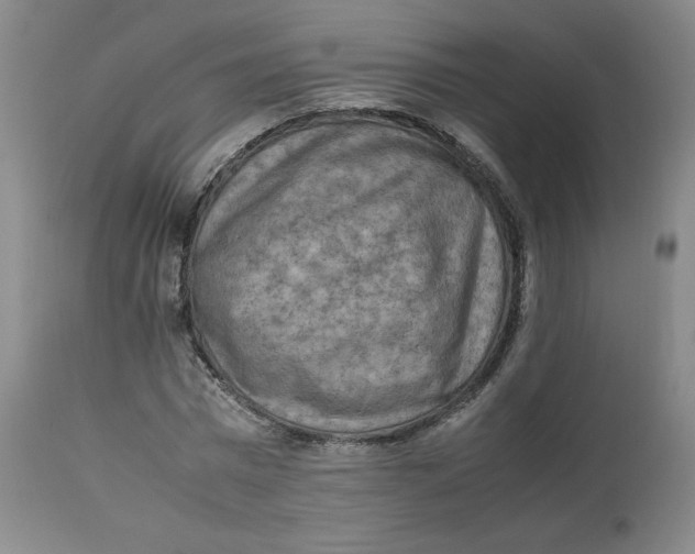 X0000112850777200909111445