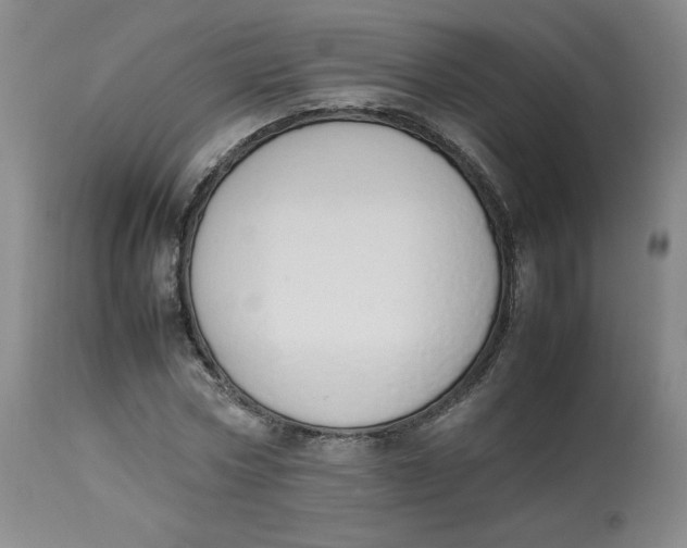 X0000112850778200909111445