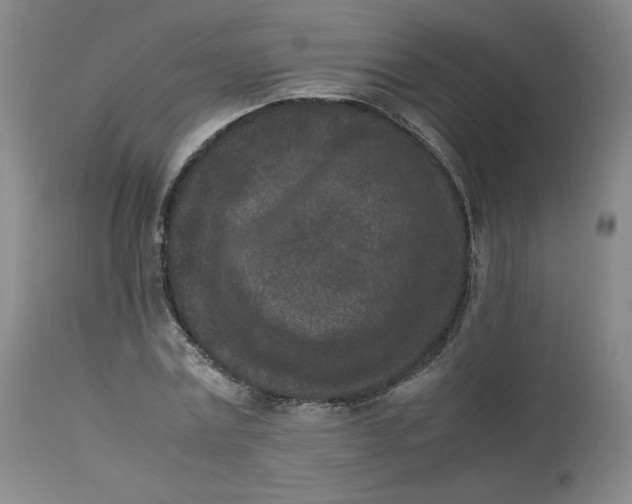 X0000112850779200909111445