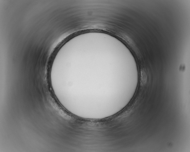 X0000112850780200909111445