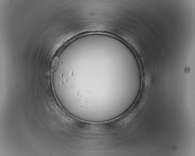 X0000112850781200909111445