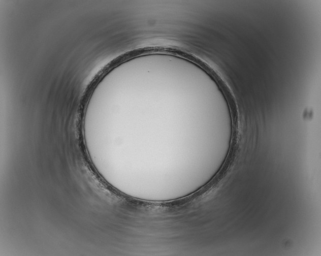 X0000112850783200909111445