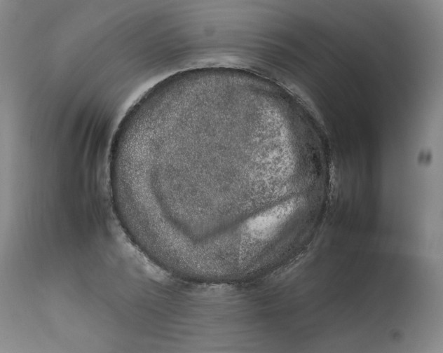 X0000112850784200909111445