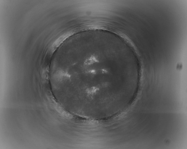 X0000112850785200909111445