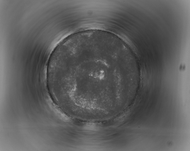 X0000112850790200909111445