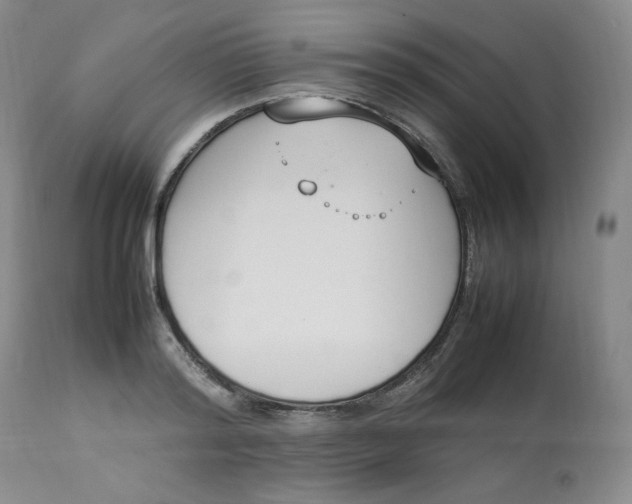 X0000112850796200909111444