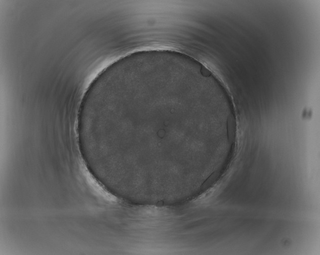 X0000112850797200909111444