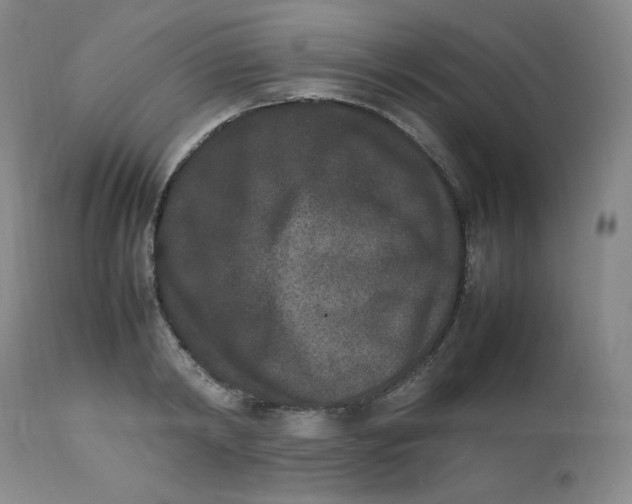 X0000112850798200909111444