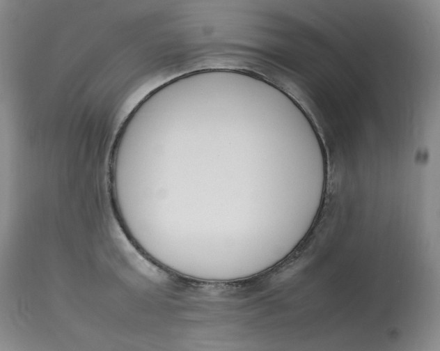 X0000112850803200909111444