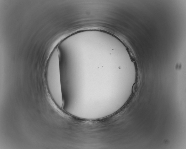 X0000112850805200909111444