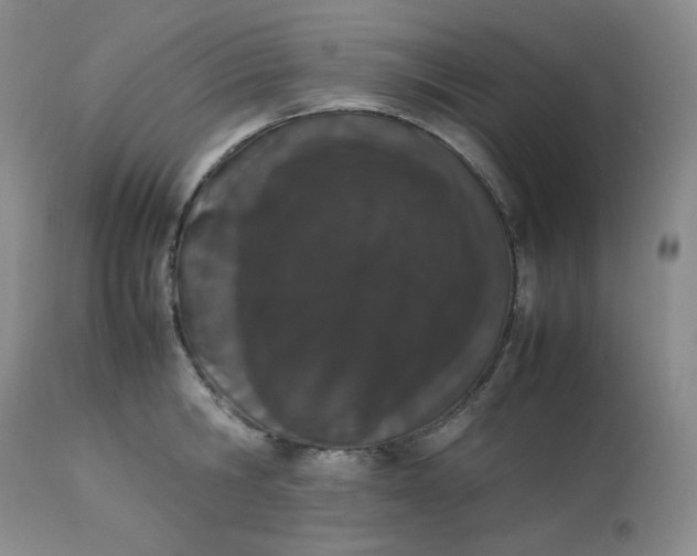 X0000112850806200909111444