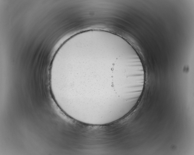 X0000112850808200909111444