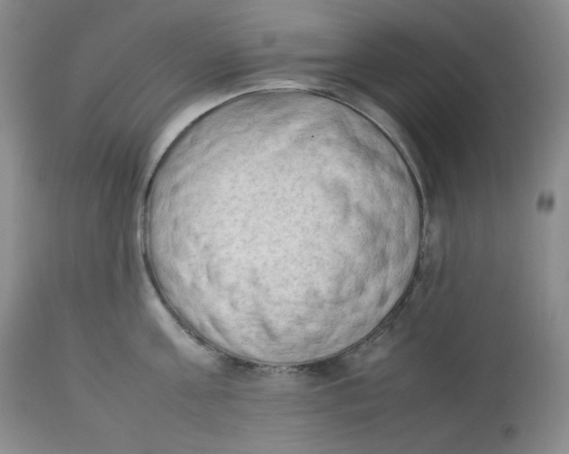 X0000112850811200909111444