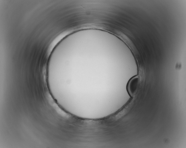 X0000112850812200909111444