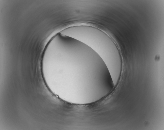 X0000112850813200909111444