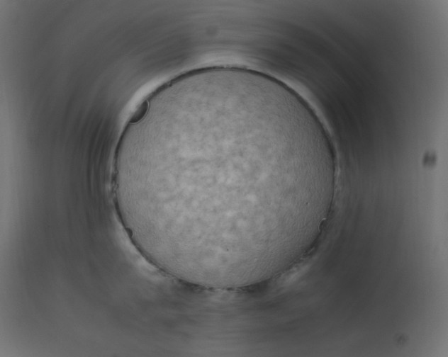 X0000112850815200909111444