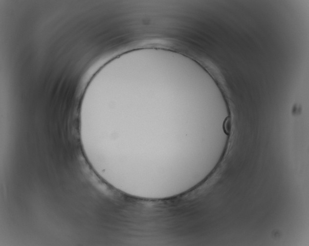 X0000112850816200909111444