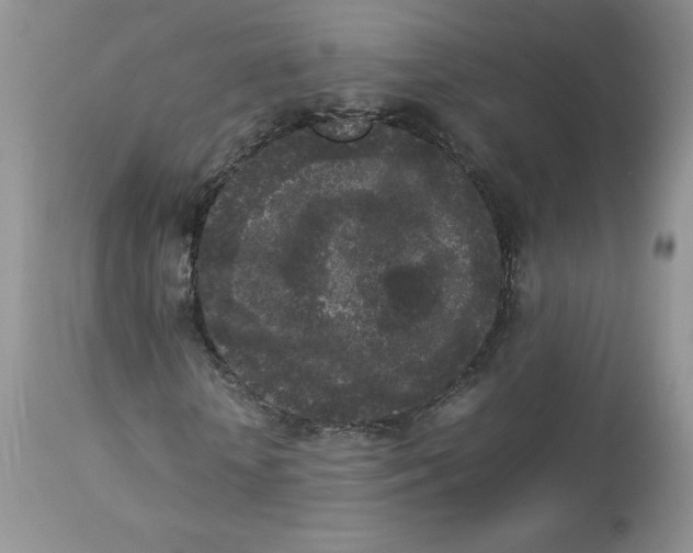 X0000112850818200909111443