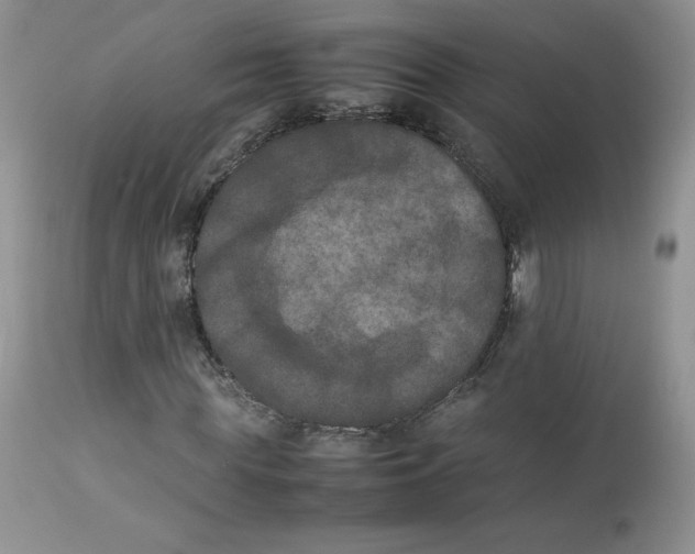 X0000112850819200909111443