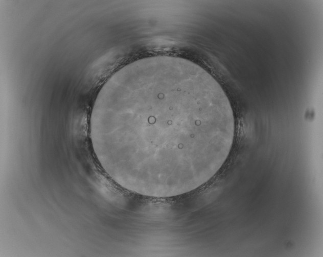 X0000112850820200909111443