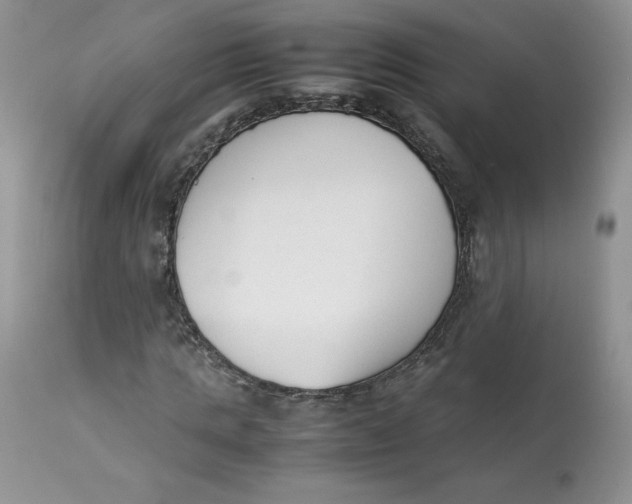 X0000112850821200909111443