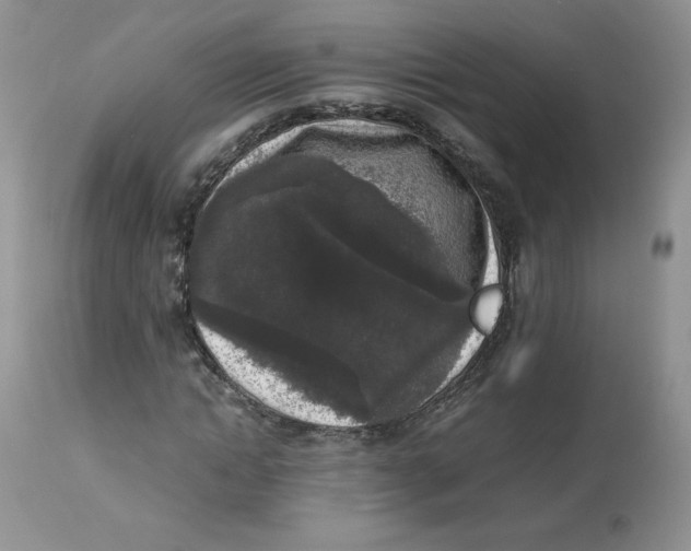 X0000112850822200909111443