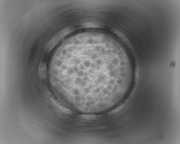 X0000112850825200909111443