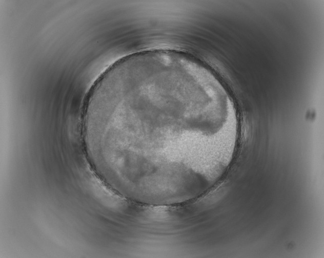 X0000112850828200909111443