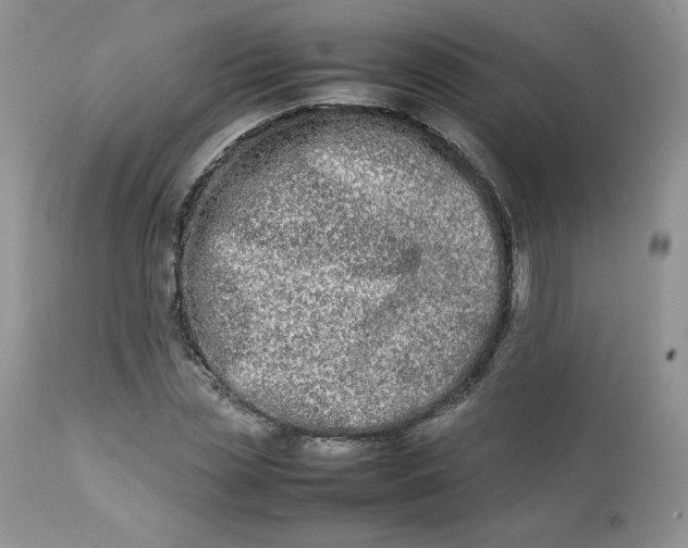 X0000112850829200909111443