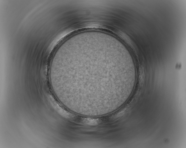 X0000112850831200909111444