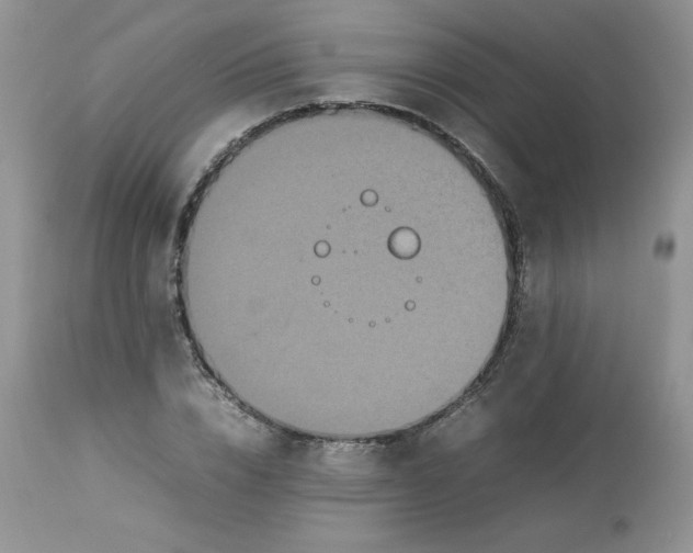 X0000112850832200909111444