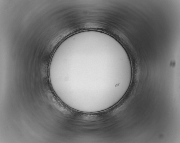 X0000112850833200909111444