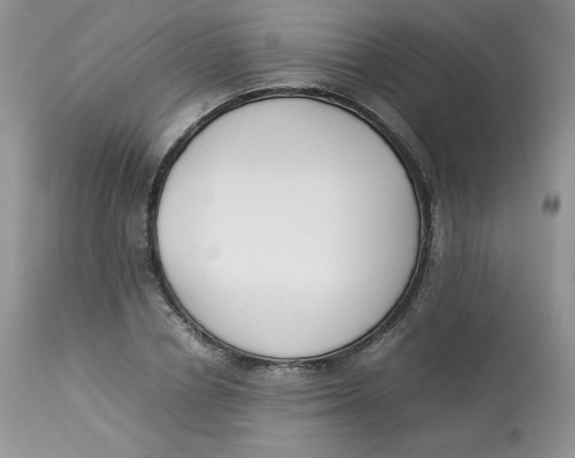 X0000112850834200909111444