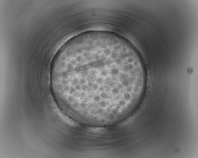 X0000112850837200909111444