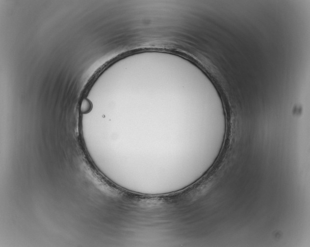 X0000112850838200909111444