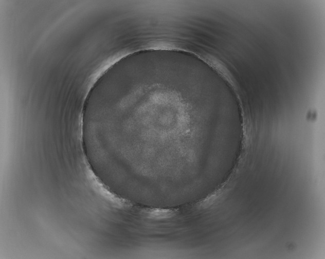 X0000112850839200909111444