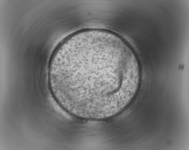 X0000112850840200909111444