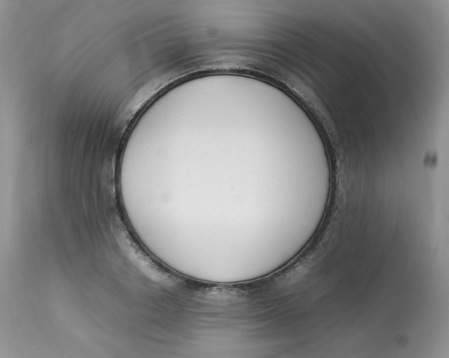 X0000112850842200909111444