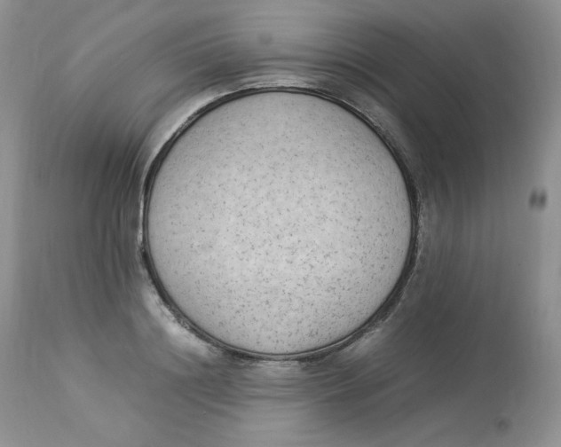 X0000112850844200909111444