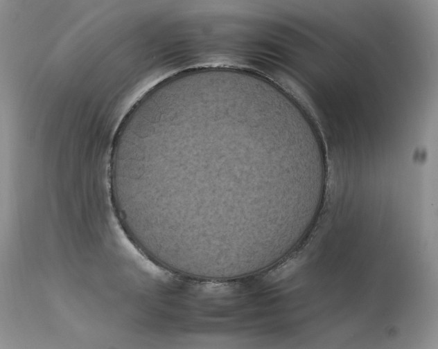 X0000112850847200909111444