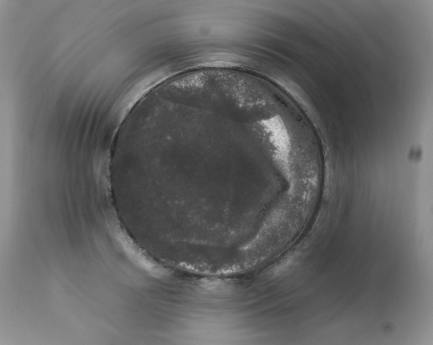 X0000112850850200909111444